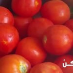 طرق لحفظ الطماطم في المجمد لفترات طويلة
