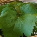 طريقة تخزين ورق العنب
