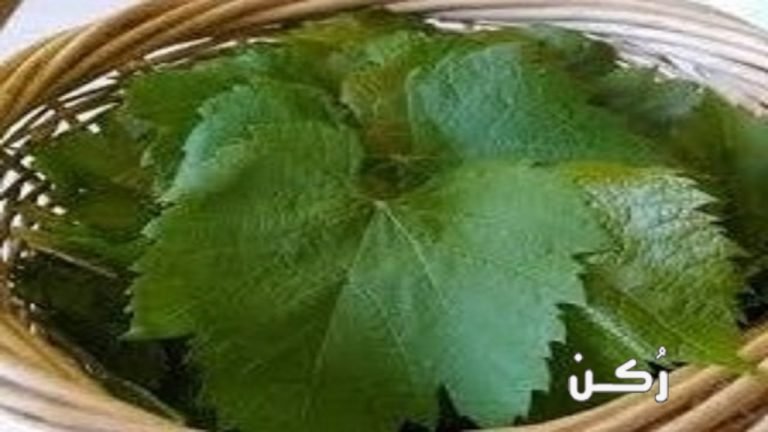 طريقة تخزين ورق العنب