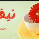 معنى اسم نيفين