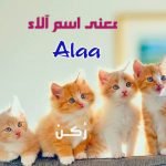 معنى اسم آلاء