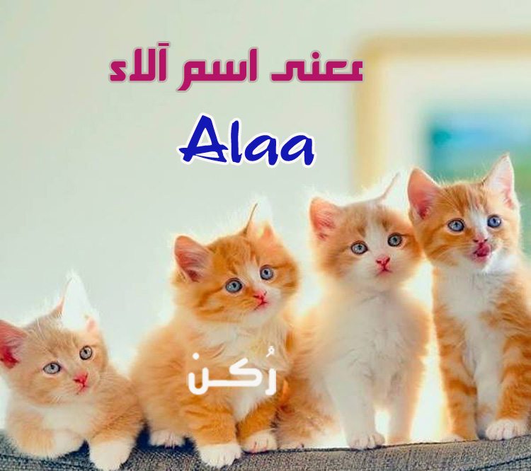 معنى اسم آلاء Alaa وصفاتها واسرار شخصيتها