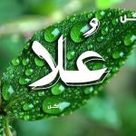 معنى اسم علا