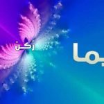 معنى اسم ديما