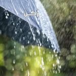 حلم رؤية المطر