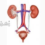 اسباب التهاب الحالب