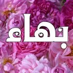 معنى اسم بهاء