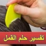 تفسير حلم القمل