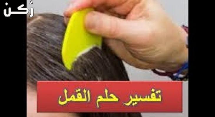 تفسير حلم القمل