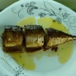 سمك الماكريل