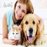 الحيوانات الأليفة