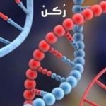 أشهر الأمراض الوراثية