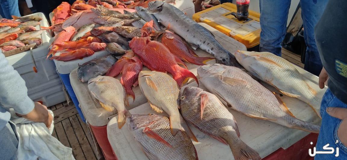 سمك البحر الأحمر