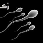 الخلايا الجذعية