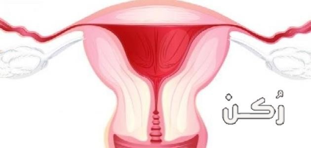 أعراض التهاب المهبل