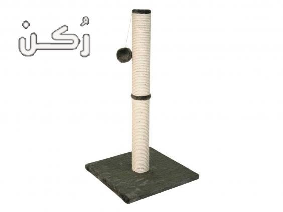 خربشة القطط