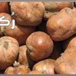 فوائد عصير الدوم