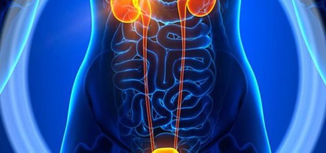 التهاب البول عند الأطفال والكبار -أسبابه وطرق علاجه والوقاية منه