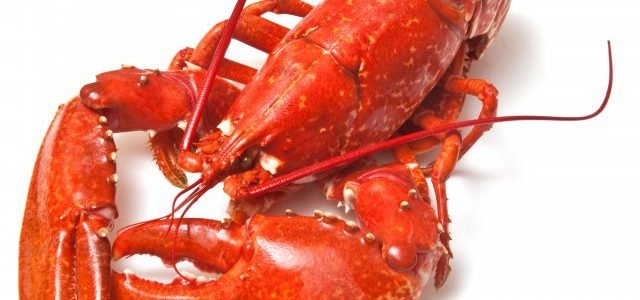 فوائد سرطانات البحر الطبية والغذائية وأنواعه