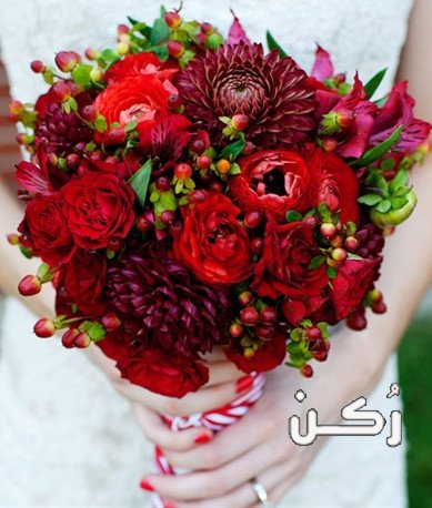 صور ورود جديدة 2020 فيديو باقات أزهار رومانسية وجميلة