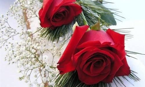 صور ورود جديدة 2020 فيديو باقات أزهار رومانسية وجميلة