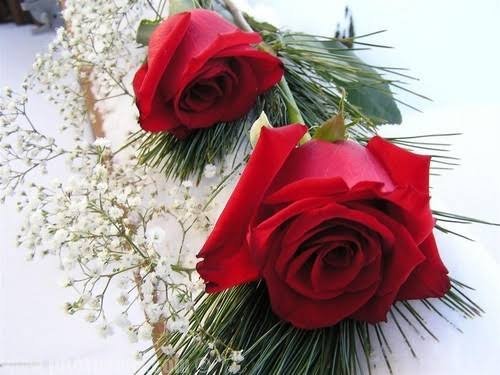 صور ورود جديدة 2020