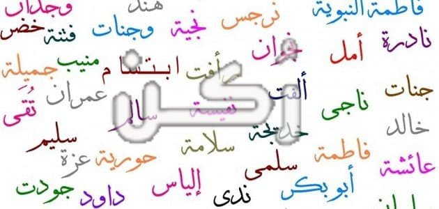 ابتسام المنام