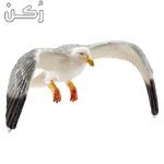 طائر النورس للاطفال والكبار