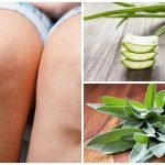 علاج الركبة بالأعشاب