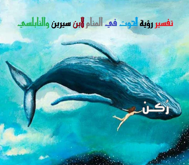 تفسير رؤية حلم الحوت في المنام لابن سيرين والنابلسي وابن شاهين