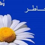 معنى اسم خاطر