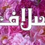 معنى اسم سلاف