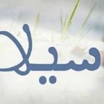 معنى اسم سيلا في اللغة العربية