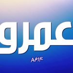 معنى اسم عمرو في اللغة العربية