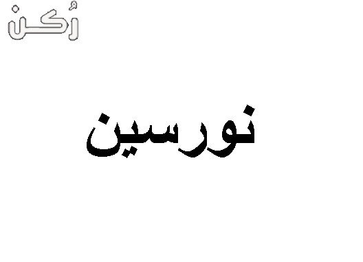 معنى اسم نورسين