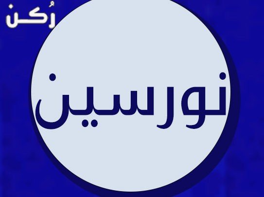 معنى اسم نورسين