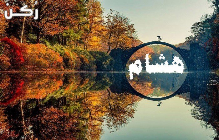 معنى اسم هشام