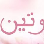 معنى اسم وتين