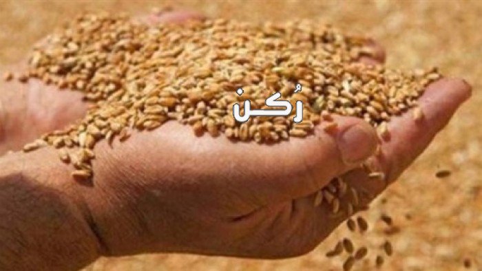حبوب منع تسوس القمح