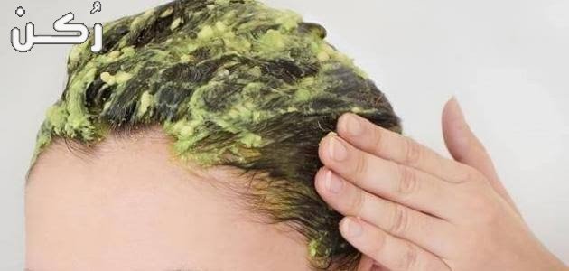 وصفات طبيعية للشعر 