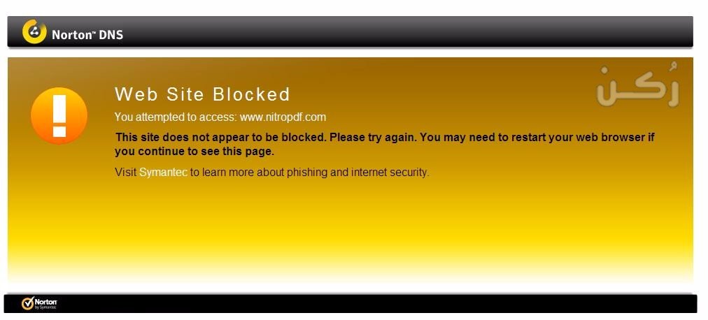 Norton DNS