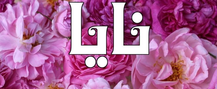 معنى اسم نايا Naya في اللغة العربية وصفات حاملة الاسم