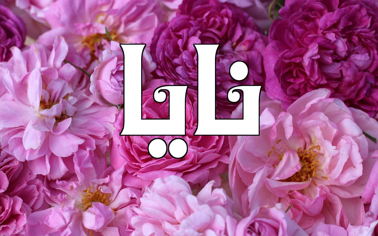 معنى اسم نايا Naya في اللغة العربية وصفات حاملة الاسم