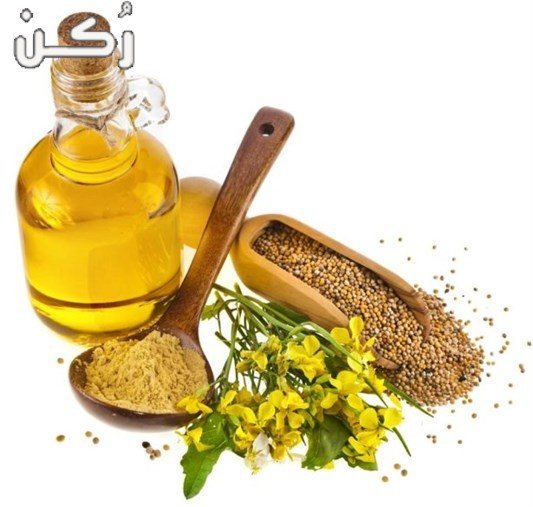 وصفات زيت النعام