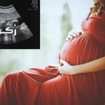 الحمل خارج الحم