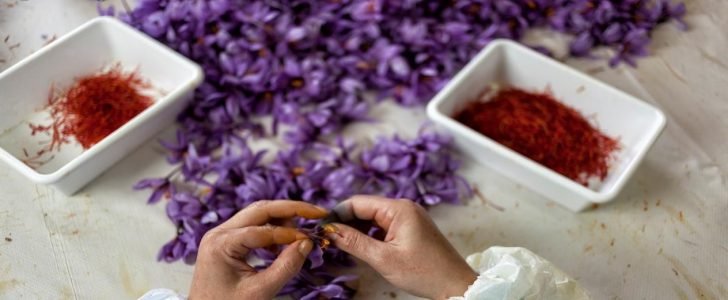 خلطات الزعفران للوجه والعناية بالبشرة