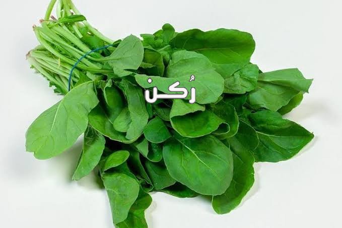 الفوائد العامة للجرجير