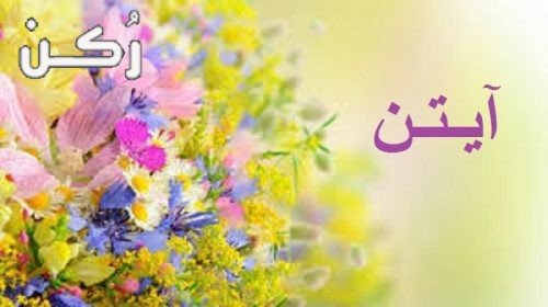 معنى اسم أيتن