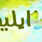 معنى اسم ايلين Ellen