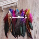 حلم الريش في المنام